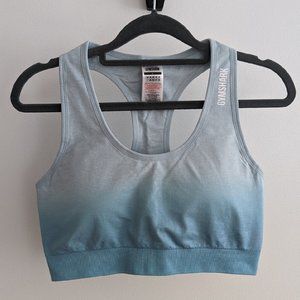 Gymshark Adapt Ombre Seamless Sports Bra in Light Blue Marl/Light Blue Sz L NWT